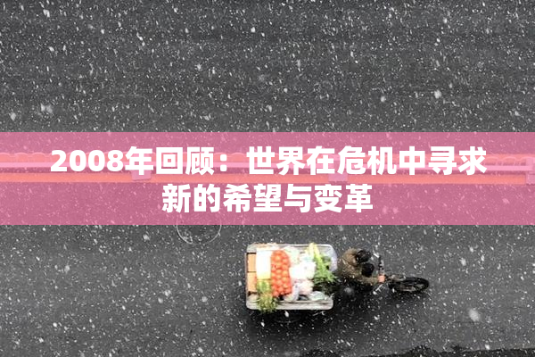 2008年回顾：世界在危机中寻求新的希望与变革