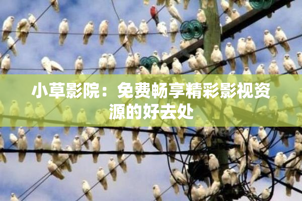 小草影院：免费畅享精彩影视资源的好去处