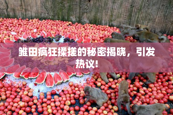 雏田疯狂揉搓的秘密揭晓，引发热议!